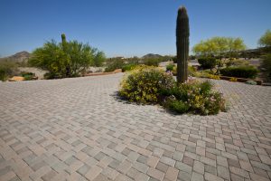 Paver Brick Driveway with Wild Flowers and Saguaro Cactus